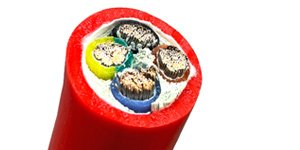 Producto Personalizado Especial