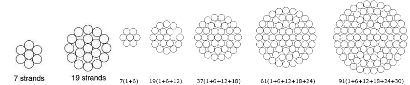 aac-structure-01