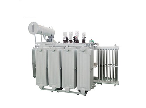 Oil immersed type transformer
